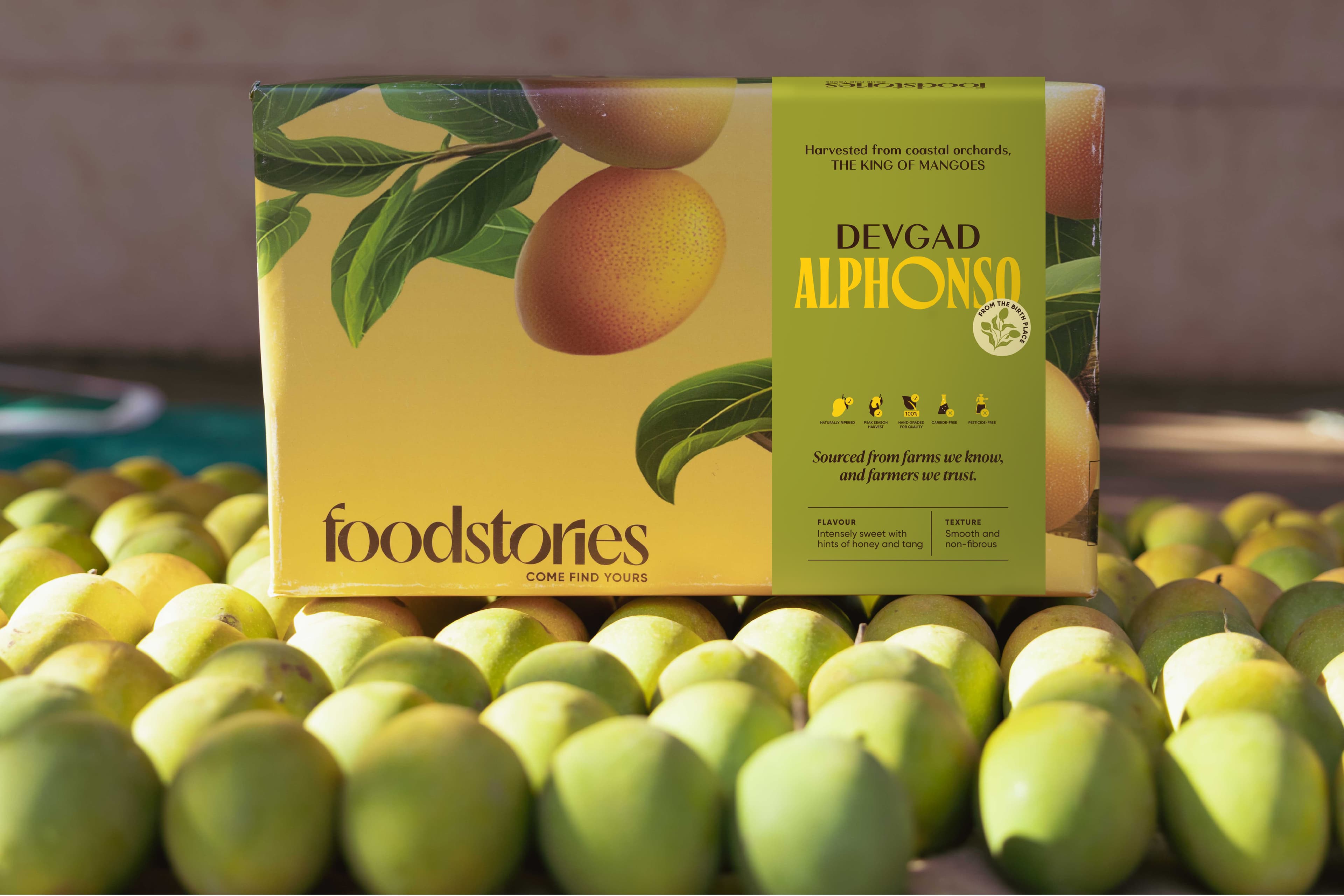 Buy Devgad Alphonso Mango Gift Box Pack of 50 Boxes